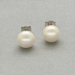 Thumbnail for J Pearls Lavish 925 Sterling Silver Stud Earrings - Distacart