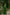 khanduapata Green & White Leaf Pattern Cotton Saree For Women