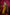 khanduapata Mustard Yellow Colour Double Border Dot Design Silk Saree For Women