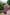 khanduapata Blue & Pink Colour Plain Tussar Silk Saree For Women