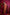 khanduapata Brown & Maroon Colour Body Design Cotton Saree For Women