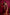 khanduapata Maroon & Beige Colour Doll Design Cotton Saree For Women