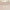 J Pearls Jaanvi Pearl Earrings - Distacart