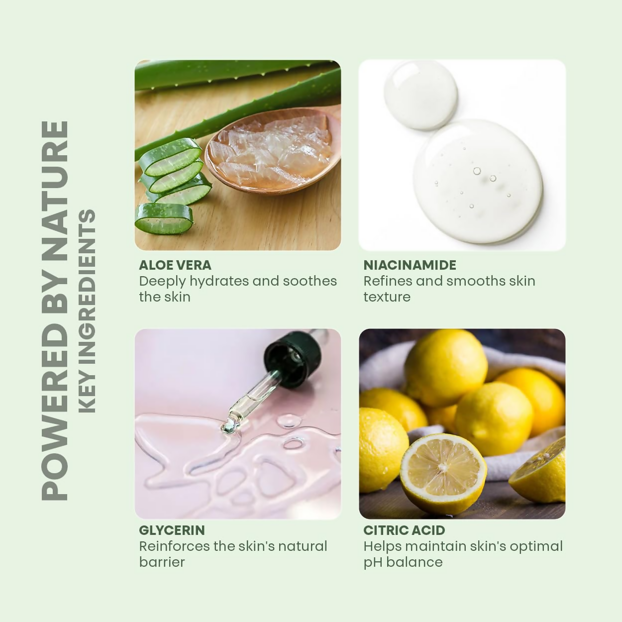 Milky Moon Aloe Vera Toner Instant Cooling & Hydrating Face Toner - Dista