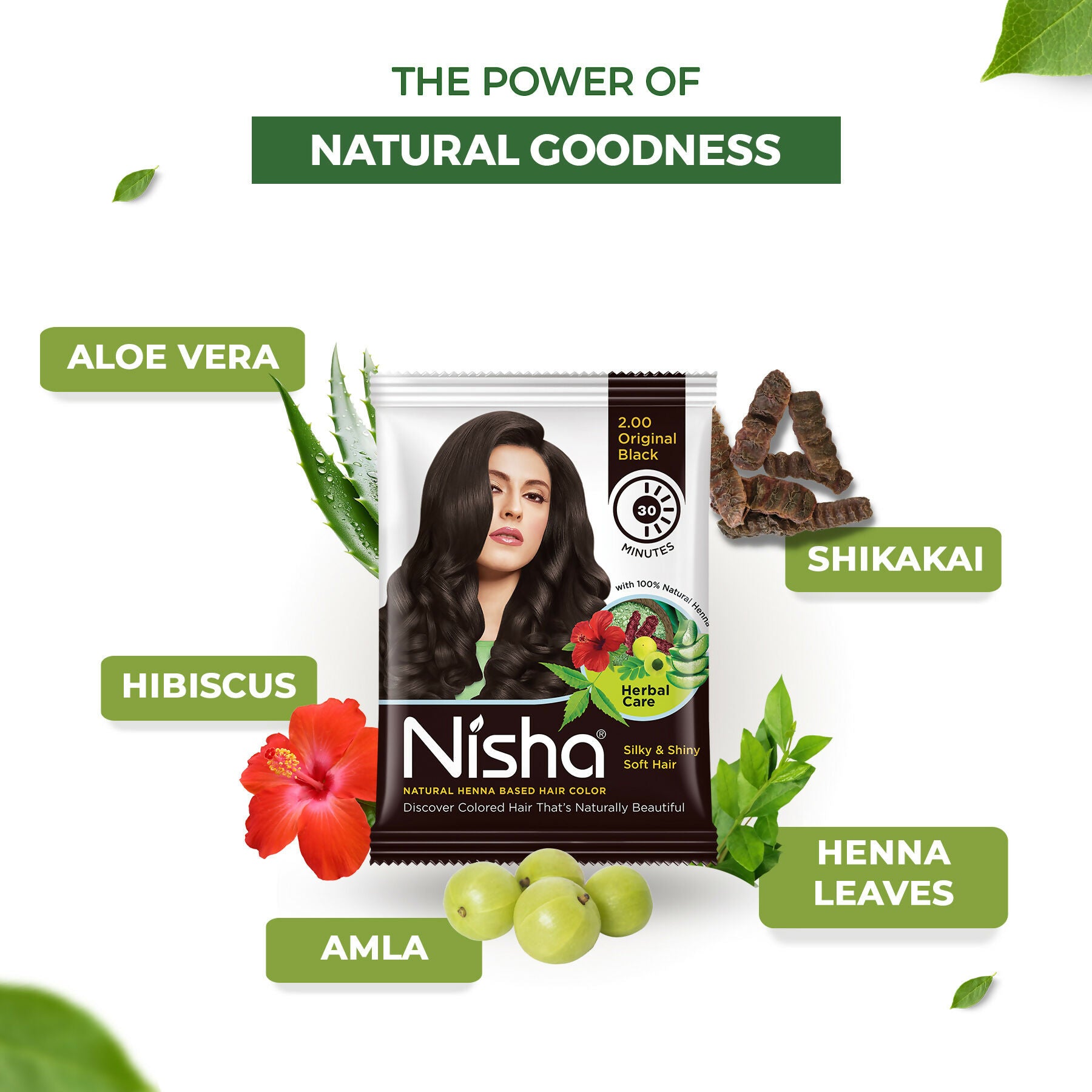 Nisha Henna Based Hair Colour for Women & Men - Original Black (Pack of 10) - Distacart