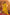 Lorenvalley Fashion Mustard Roman Silk Embroidery Sequins with Hand work Kurta Pant Dupatta