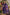 Lorenvalley Fashion Purple Roman Silk Multi Embroidery Thread With Hand Work Kurta Pant Dupatta