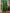 Lorenvalley Fashion Green Marina Silk Multi Embroidery Thread,With Hand Work Kurta Pant Dupatta