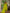 Lorenvalley Fashion Parrotgreen Marina Silk Multi Embroidery Thread,With Hand Work Kurta Pant Dupatta