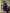 Lorenvalley Fashion Wine Marina Silk Multi Embroidery Thread,With Hand Work Kurta Pant Dupatta