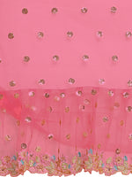 Thumbnail for Lorenvalley Fashion Pink Butterfly Net Ruffle Saree with Fancy Sequence work & Blouse - Distacart