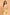 Morchari Kota Gold Zari Tissue Embroidery Saree - Gold