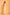 Morchari Kota Tissue Zari Embroidery Saree - Yellow