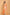 Morchari Kota Zari Embroidery Saree - Peach - Distacart