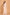 Morchari Kota Embroidery Saree - Beige