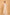 Morchari Kota Embroidery Saree - Beige