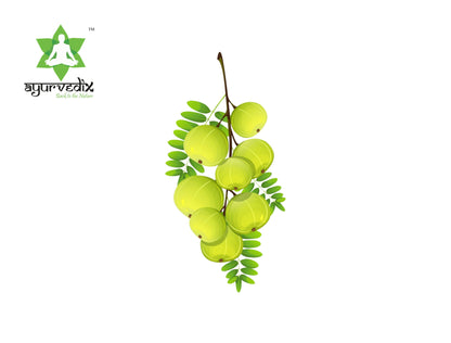 AMLA (1)