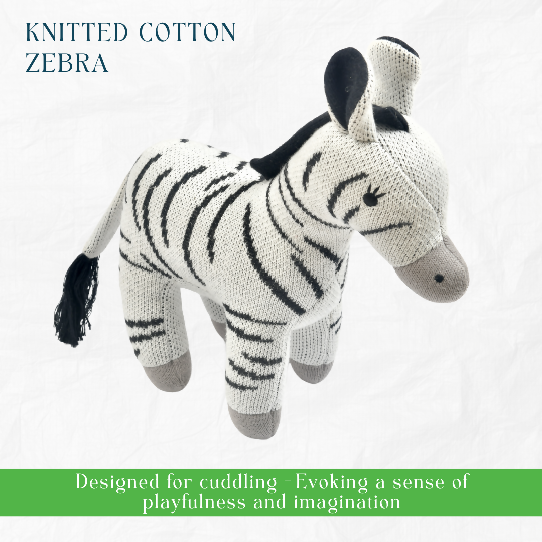 New Born Gift - Blanket, Zebra, Elephant Teether and Car Teether 3