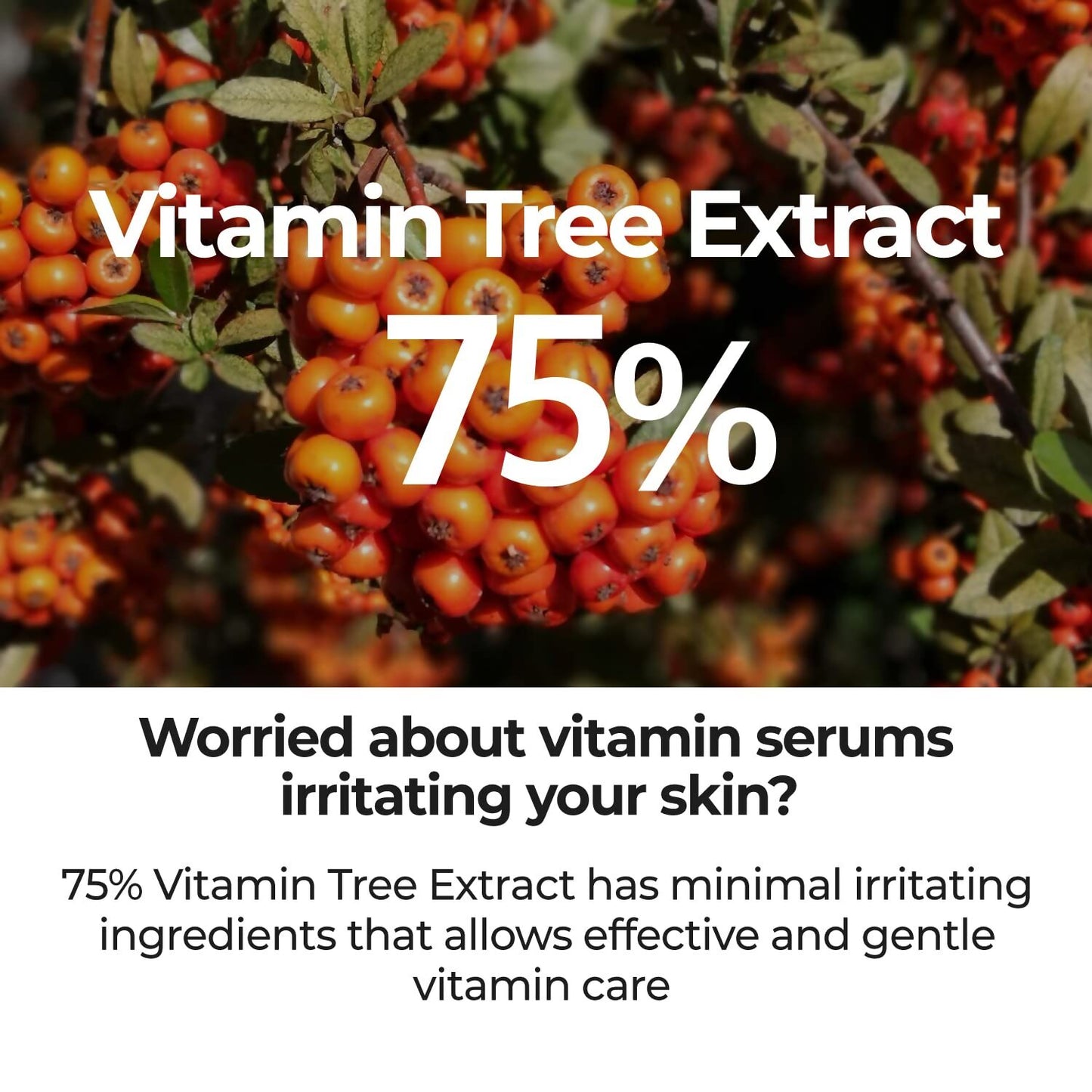 Numbuzin No.5 Face Serum - Distacart