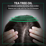 Thumbnail for De Fabulous Tea Tree Oil Sulphate Free Shampoo For All Hair Types - Distacart