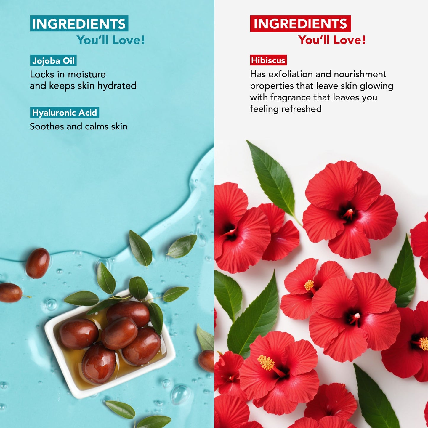 Botanic Hearth Jojoba Hyaluronic Bobywash & Hibiscus Scrub Combo - Distacart