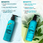 Thumbnail for Jojoba & Hyaluronic Acid - Shampoo & Conditioner Set (Pack of 2) - Distacart