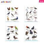 Thumbnail for Jolly Kids My Big Board Books Set of 8 for Toddlers Ages 0-3 Years| Picture Learning Books
