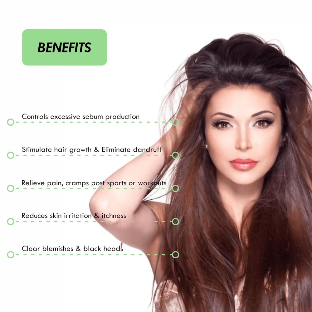 download - 2024-11-07T100857.181 (1)