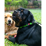 Thumbnail for Waggety Dog Leash - Durable Green Polyester, Length - 5Ft, Comfortable Grip, Stylish Pet Leash for Dogs