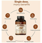 Thumbnail for Zingavita Ayurveda Sustained Release Ashwagandha 300mg Capsules - Distacart