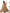 Teeya Creation Multicolor Digital Print Faux Georgette Anarkali With Pants And Dupatta - Distacart