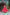 Prazu Fashion Red Georgette Bandhani Print With Kutchi Patch work Navaratri Gown