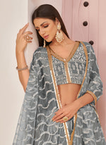 Thumbnail for Vegaa Fashion Grey Butterfly Net Embroidery Thread Designer Lehenga