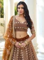Thumbnail for Vegaa Fashion Brown Butterfly Net Embroidery Thread Designer Lehenga