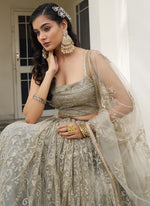 Thumbnail for Vegaa Fashion Ivory Butterfly Net Embroidery Thread Designer Lehenga
