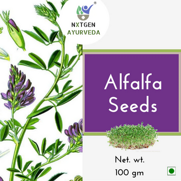 Nxtgen Ayurveda Alfa Alfa Seeds - Distacart