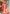 NOZ2TOZ Jacquard Lichi Silk Pink Saree With Unstitched Blouse Piece - Distacart