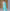 NOZ2TOZ Jacquard Lichi Silk Sky Blue Saree With Unstitched Blouse Piece - Distacart