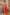 NOZ2TOZ Jacquard Lichi Silk Red Saree With Unstitched Blouse Piece - Distacart