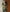 NOZ2TOZ Jacquard Lichi Silk Green Saree With Unstitched Blouse Piece - Distacart