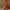NOZ2TOZ Jacquard Lichi Silk Yellow Saree With Unstitched Blouse Piece - Distacart