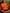 NOZ2TOZ Jacquard Lichi Silk Red Saree With Unstitched Blouse Piece - Distacart