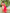 NOZ2TOZ Jacquard Lichi Silk Cream Saree With Unstitched Blouse Piece - Distacart