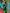 NOZ2TOZ Jacquard Lichi Silk Green Saree With Unstitched Blouse Piece - Distacart