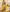 NOZ2TOZ Jacquard Lichi Silk Yellow Saree With Unstitched Blouse Piece - Distacart