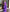 NOZ2TOZ Jacquard Lichi Silk Purple Saree With Unstitched Blouse Piece - Distacart