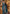 NOZ2TOZ Jacquard Lichi Silk Teal Saree With Unstitched Blouse Piece - Distacart