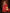 NOZ2TOZ Jacquard Lichi Silk Red Saree With Unstitched Blouse Piece - Distacart