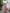 NOZ2TOZ Jacquard Lichi Silk Pink Saree With Unstitched Blouse Piece - Distacart