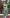 Malishka Jacquard Lichi Silk Sky Blue Saree With Unstitched Blouse Piece - Distacart